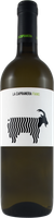 Fiano